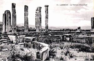 ALGERIE-RUINES ROMAINES DE LAMBESE (54)